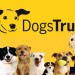 Anchor Boys’ Visit the Dog’s Trust, Ballymena